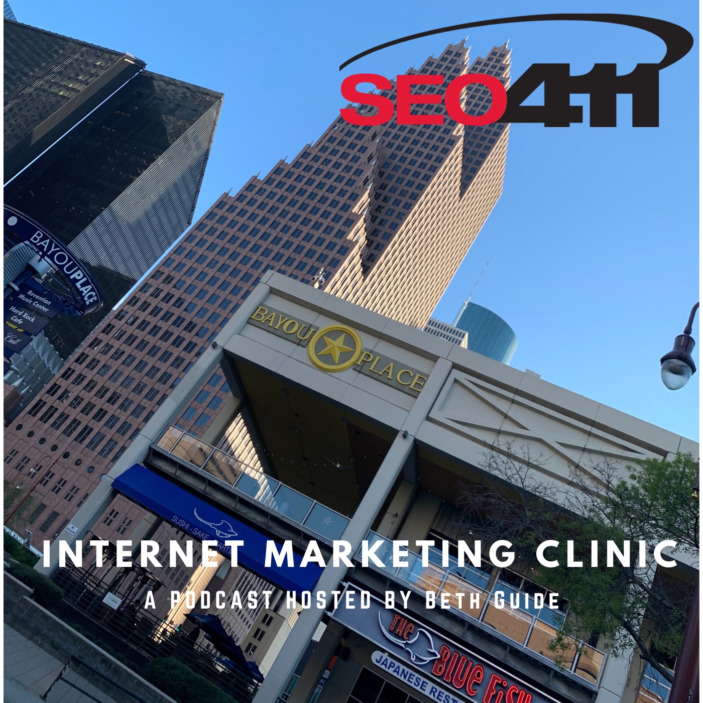 SEO411 Internet Marketing Clinic